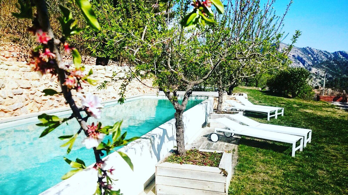 MasMariassa's tweet photo. Qui necessita una mica de Mas Mariassa? Que aixequi la mà! O millor posi un like a la foto! 

Who needs a holiday? https://t.co/nHMWyp2Noj
