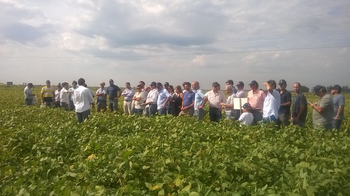 DONMARIOoficial's tweet photo. Compartimos imágenes de la DONMARIOMAS Larraoude
con Pelayo Agronomia
¡Agradecemos la concurrencia! https://t.co/tRXrVGAeOm