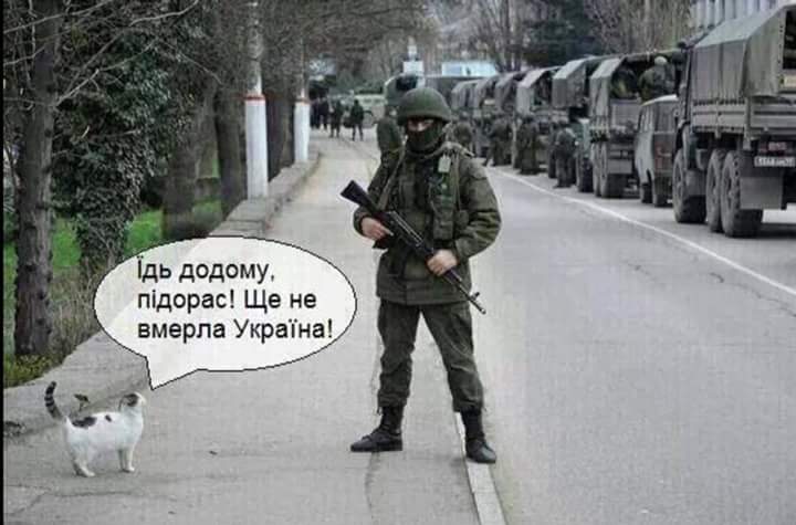 Путин прибыл на оккупированную Тузлу - Цензор.НЕТ 8771