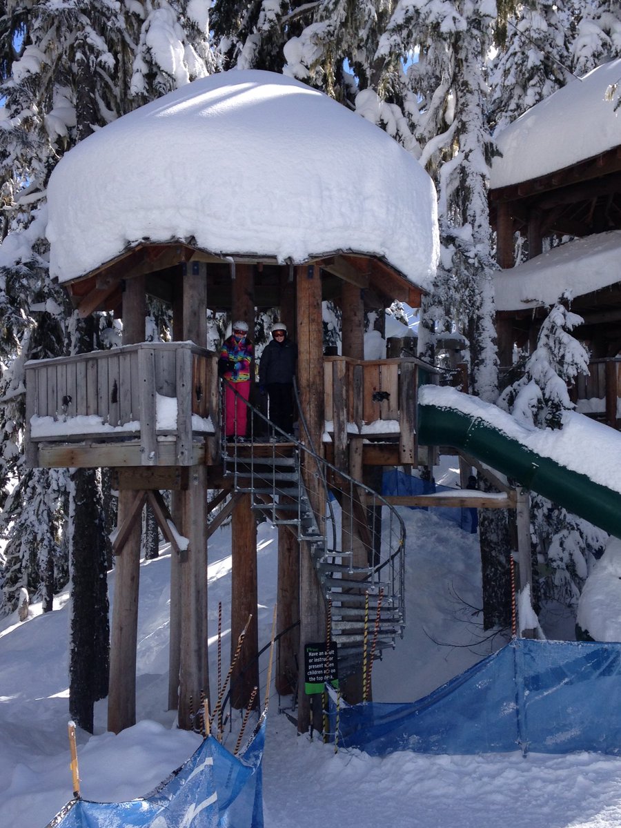 The kids found the Treefort <a href="/WhistlerBlckcmb/">Whistler Blackcomb</a>!  Spectacular day yesterday! #deepsnow #WBTurns50 #WBGoBeyond