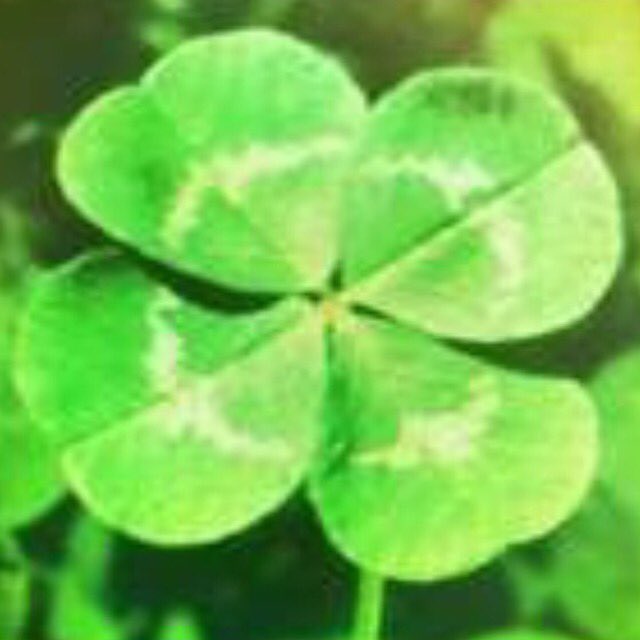 Happy St. Patrick's day