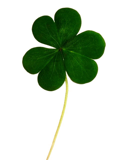 Happy day to all our Irish friends! #saintpatricksday
