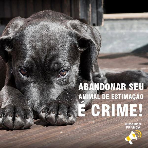 RICARDO_FRANCAA's tweet photo. Chega de crueldade! Animais não são brinquedos! #animais #cachorro #gato #pet #indaiatuba #sãopaulo #ricardofranca https://t.co/qVG4pZYaYe