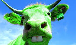 Happy St. Patrick's Day.