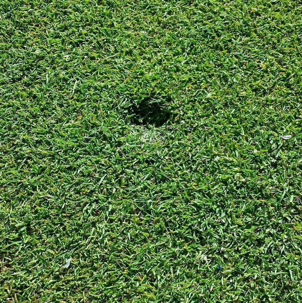 Golf_Society's tweet photo. @BromboroughGC 20 Mar' is a #nationalpitchmarkrepairday don't be selfish, you only have to do your own @mellwoodltd https://t.co/TeKr3MaLXz