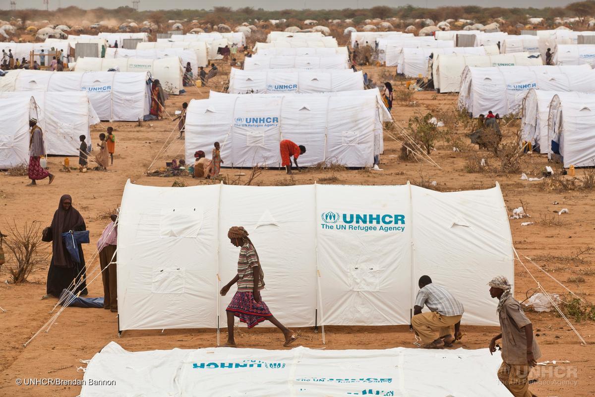 Refugees's tweet photo. “There has arguably never been a more difficult time to be a refugee” - @Awad_Amin_ https://t.co/CWF9EQdqVe https://t.co/CfshzZuXgG