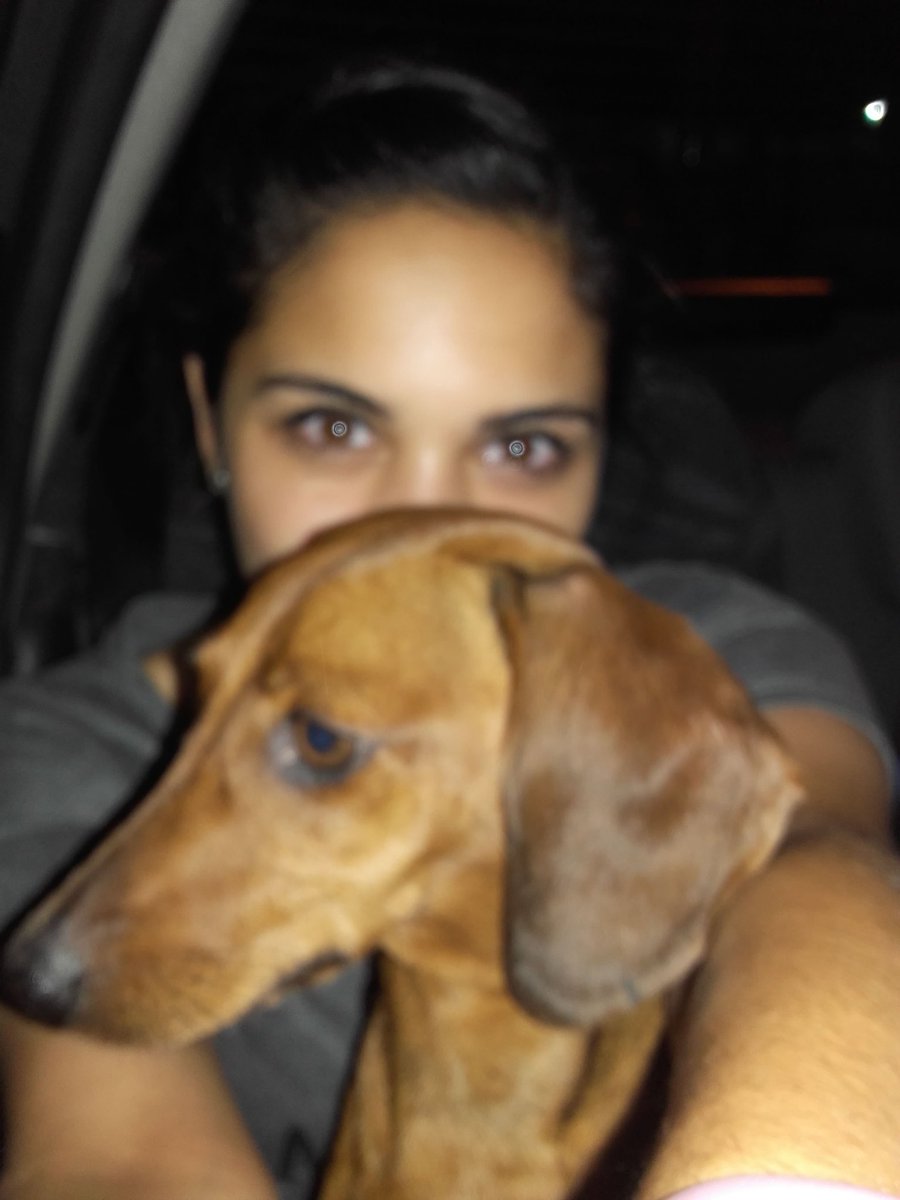EscobarBeri's tweet photo. Reina hermosa 😊🐕👑 https://t.co/2i7n0MJFQL