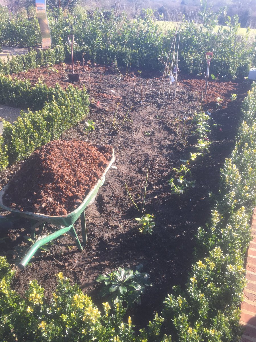 Mulching the borders.