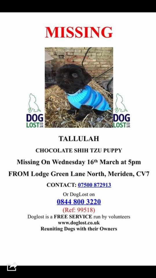 @Merseydogshome Help!Our 10 week old much loved puppy has been missing from our garden since yesterday.Please tweet!