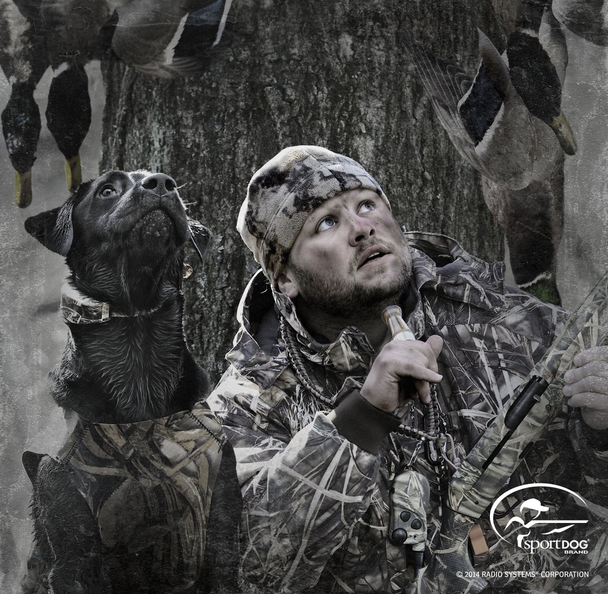 SportDOG Brand tweet media