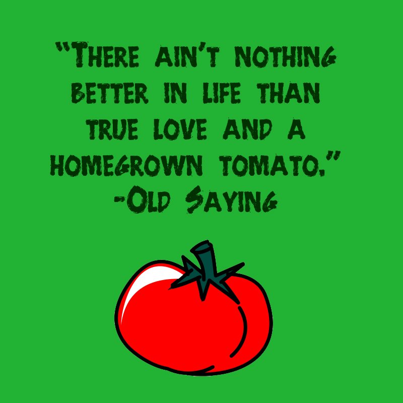 TastiLee's tweet photo. Good #morning! Here's an old saying to start off #ThrowbackThursday for our #TastiLee tomato lovers. ❤️ https://t.co/QNu1ZI6DWZ
