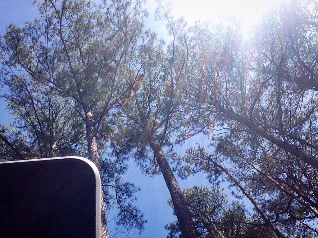 globalgols's tweet image. THIS is how to do live webinars! @thecarsontate #productivity #strategy #worksimply #livefully #worksmarternotharder