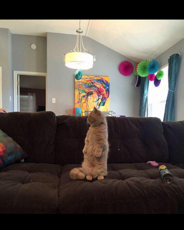 _TY_97's tweet image. When you think the conversations going well but then the other person stops replying