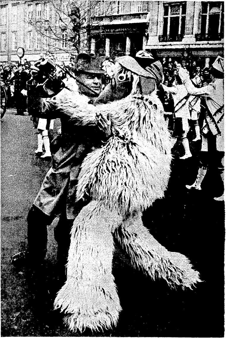 Old Ireland Pictures tweet media