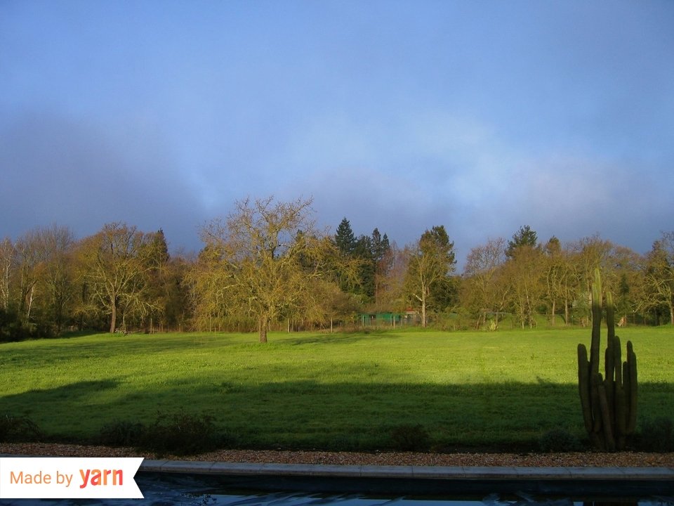 Yarn App tweet media