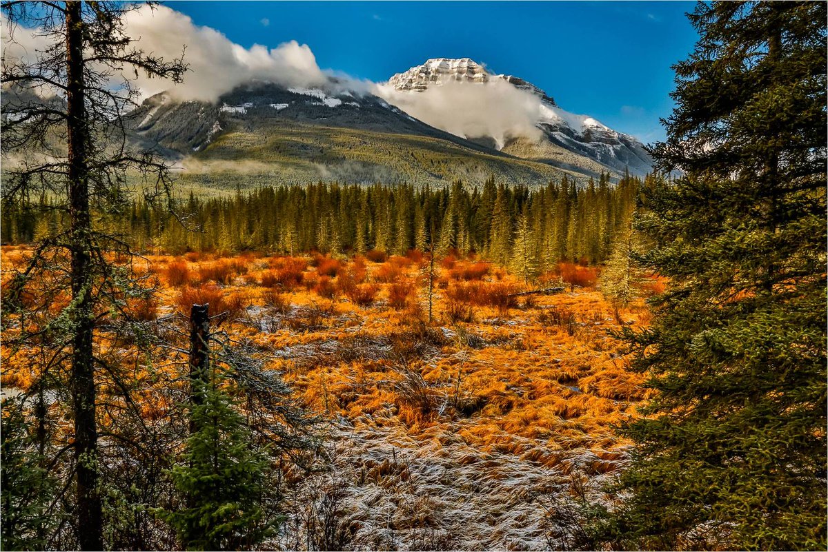 NiumeWorld's tweet photo. Amazing Travel Photo Workshop in the Canadian Rockies offered by Niumer @GaryWeisbrodt : https://t.co/5M2tRoyfPw https://t.co/dyvbFtcMjZ