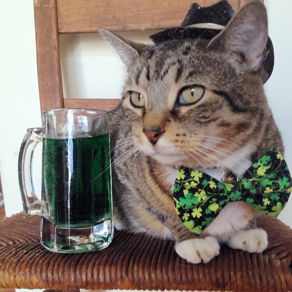 Hoodcatco's tweet photo. Happy St. Patrick's Day 🍀🍀🍀 https://t.co/PMlcqmk5VG