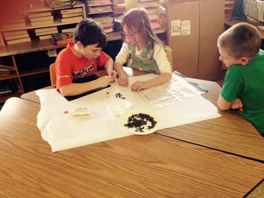 MVwolvesPhelps's tweet photo. Dissecting owl pellets! #engagement #itsnotpoop https://t.co/awvyVCDxhq