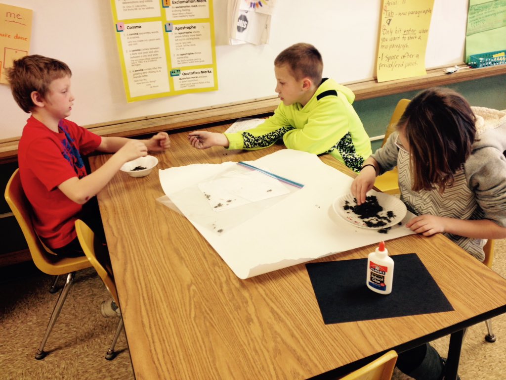 MVwolvesPhelps's tweet photo. Dissecting owl pellets! #engagement #itsnotpoop https://t.co/awvyVCDxhq