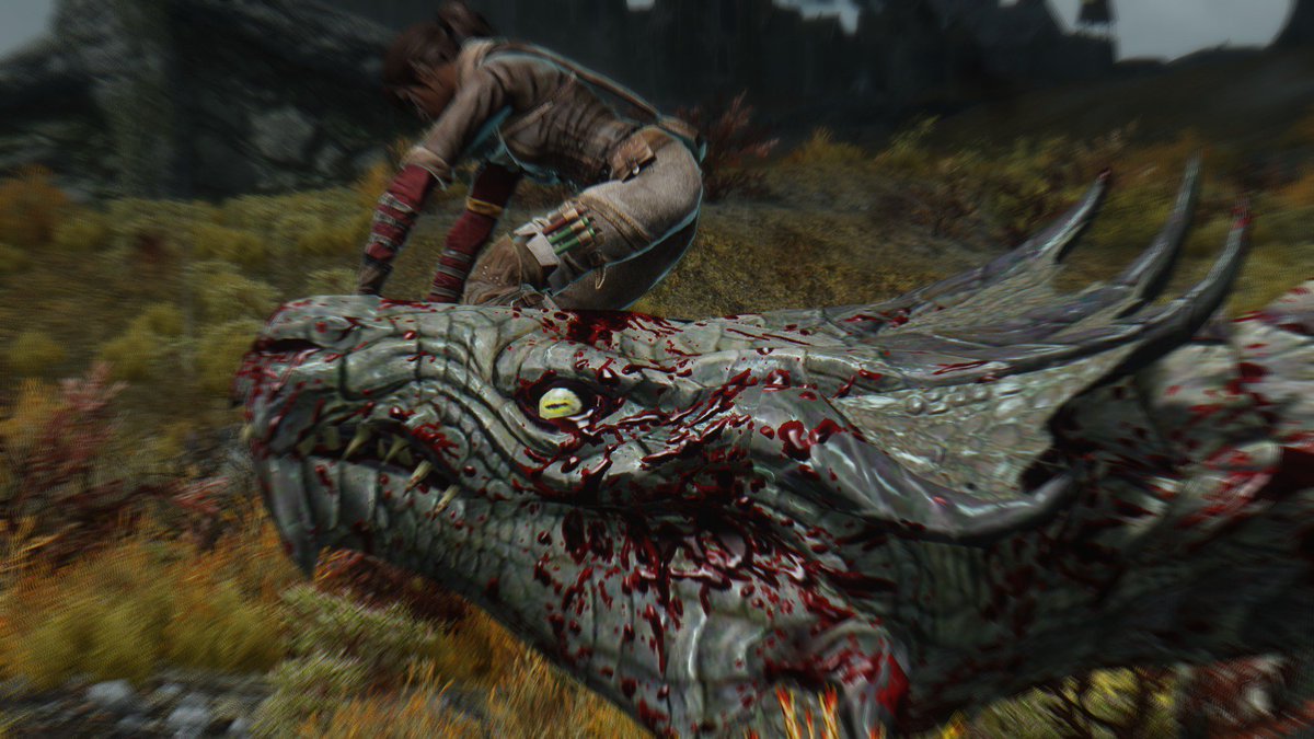 Akkai_DG's tweet photo. Когда ванильный #Skyrim уже не торт :D
#SkyWitcher #Triss #armorMod https://t.co/wY4iqUN25y