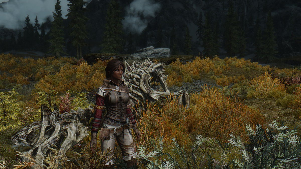 Akkai_DG's tweet photo. Когда ванильный #Skyrim уже не торт :D
#SkyWitcher #Triss #armorMod https://t.co/wY4iqUN25y