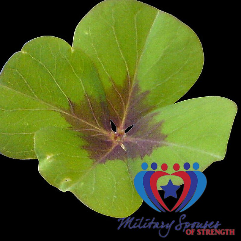 StrongMilSpouse tweet picture