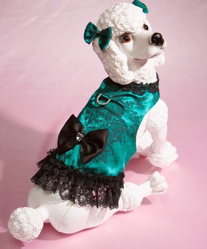 HLWDpoochie's tweet photo. Lots of #luxe. #HappyStPats #Poochies https://t.co/s1tKMqfGIK