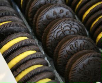 TrashKatz's tweet photo. Couldn't help but notice that our Crew looks like a #SpringOreo @Oreo we need a sponsor! #SpringBreak #NWSS https://t.co/WGwddb6XI4