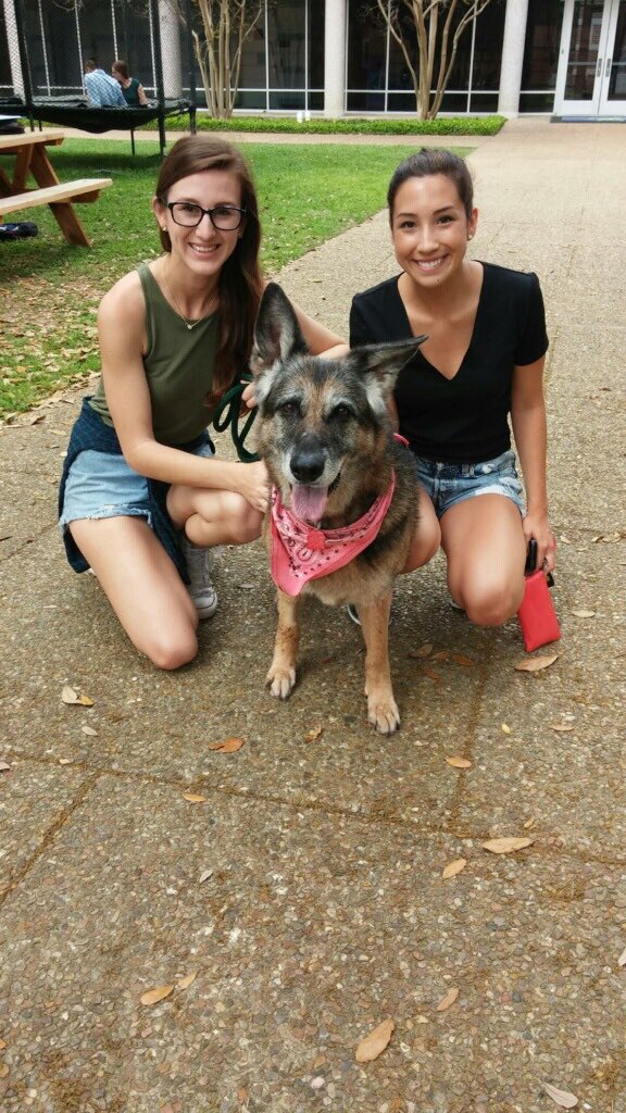 ScoutsRescue's tweet photo. Check us out at #WillyWeek at @RiceUniversity today until 5pm! https://t.co/ThJ6cUOFm6