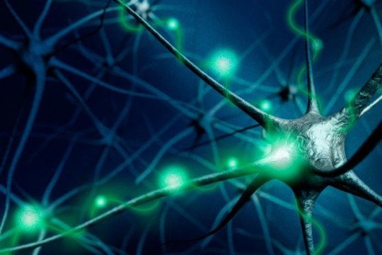 ScienceDaily's tweet photo. Working Memory: Cyclical Bursts Overturn Model https://t.co/kSpjE0NxVx https://t.co/BKAEbmgHLb