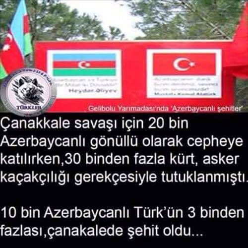 Sarıdallı (@saridalli) on Twitter photo 