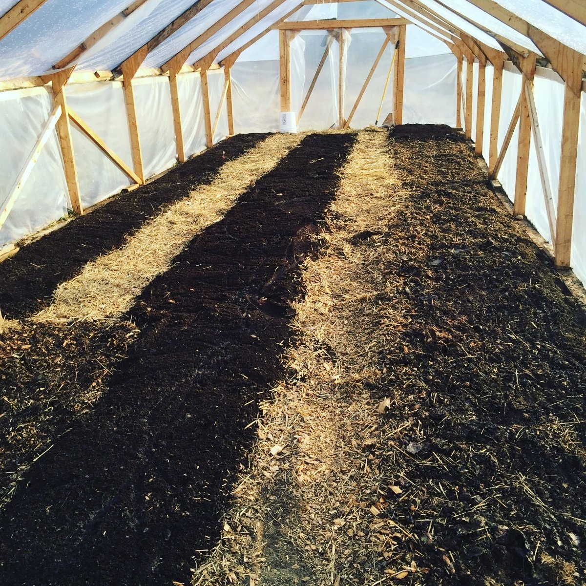KnownSourceFarm's tweet image. The #greenhouse is almost ready! We are right on track and feeling great #SpringForward #FarmLife #girlboss