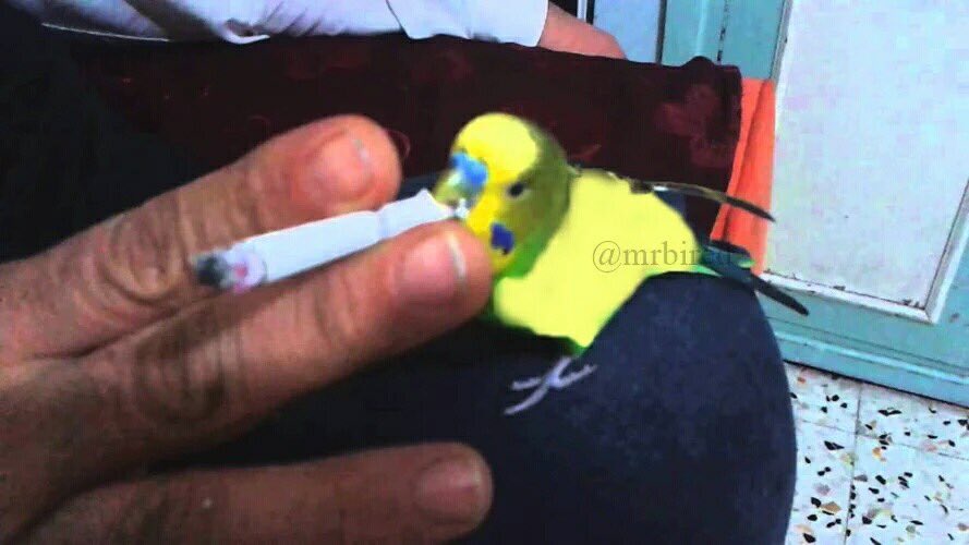 CdyFYY8WoAAfoMm.jpg
