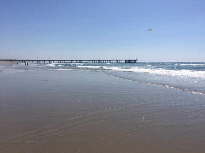 Watch Tony Stewart's leaked NSFW photo on TwXstars