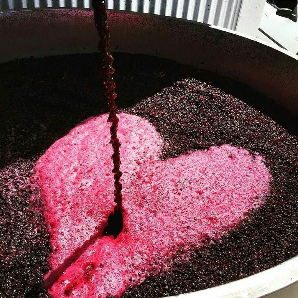 De Bortoli Wines (@debortoliwines) on Twitter photo We love wine and hope you do too.
This pikkie reposted from @fabladieswine and <a href="/sommyslimy/">Sarah Limacher</a> ift.tt/1Z6IgAg We love wine and hope you do too.
This pikkie reposted from @fabladieswine and <a href="/sommyslimy/">Sarah Limacher</a> ift.tt/1Z6IgAg
