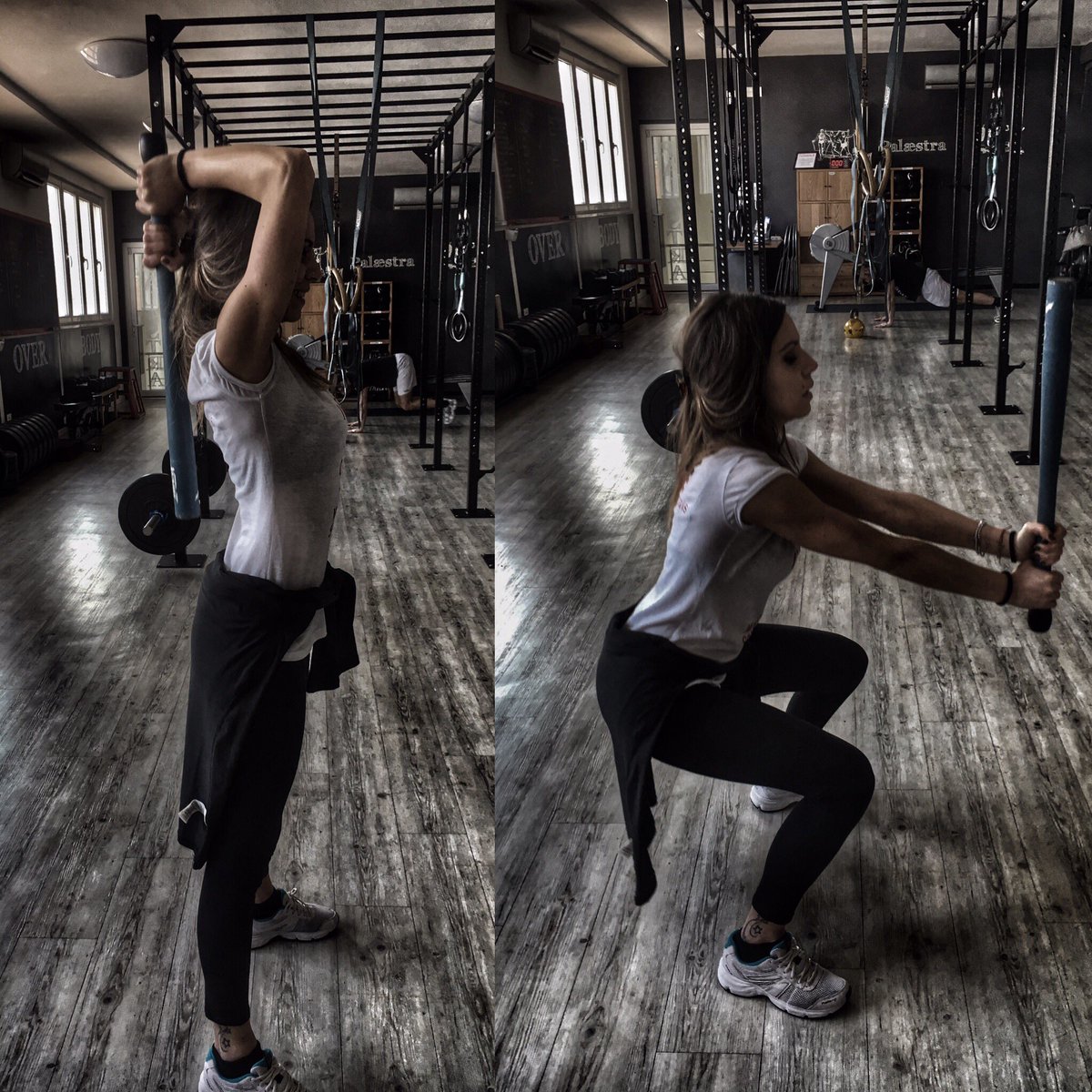 Sealtrain's tweet photo. #Sealtrain #training #class only at @InfoPalaestra! Train different Sealtrain ! https://t.co/kBuriqbzM1