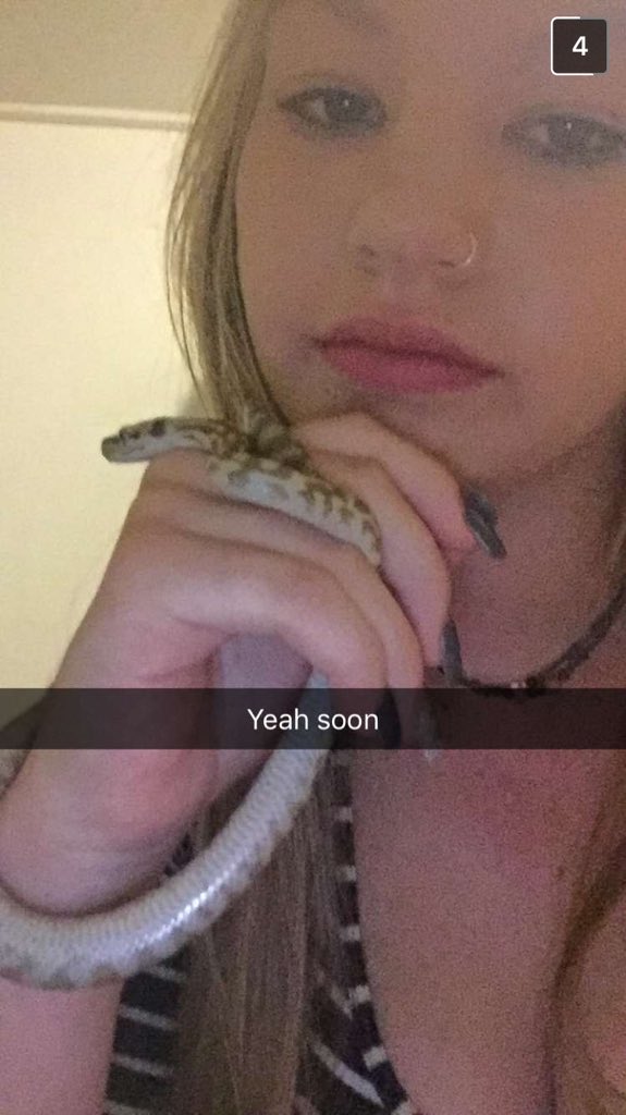 Crystalskyebin's tweet image. 