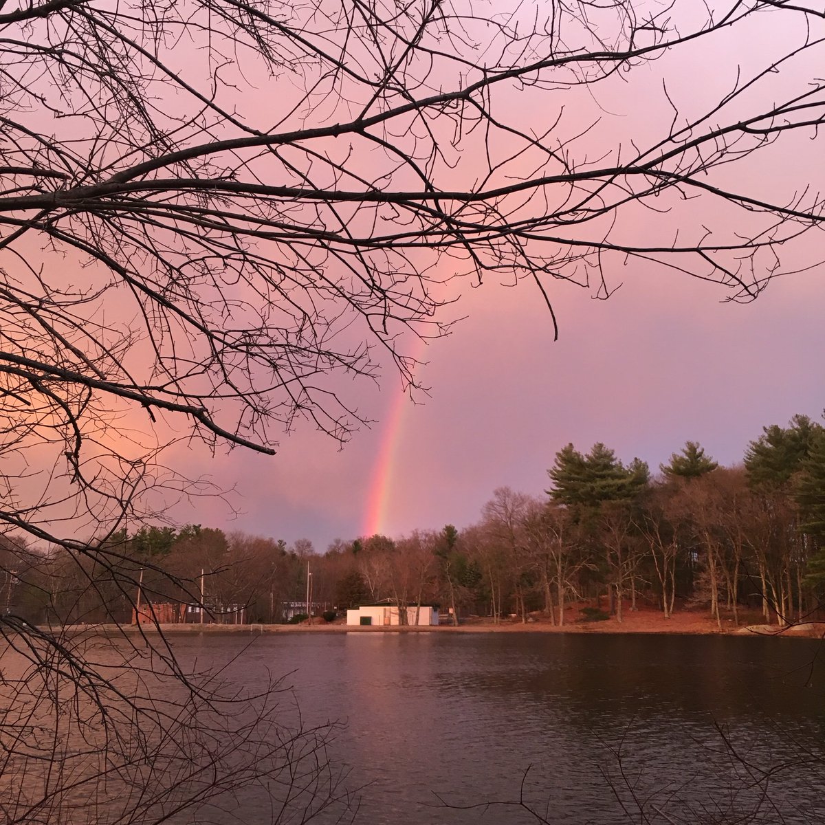 carriewiley's tweet photo. Luck of the Irish today. #rainbow #mybackyard https://t.co/JBmHeNWXnE