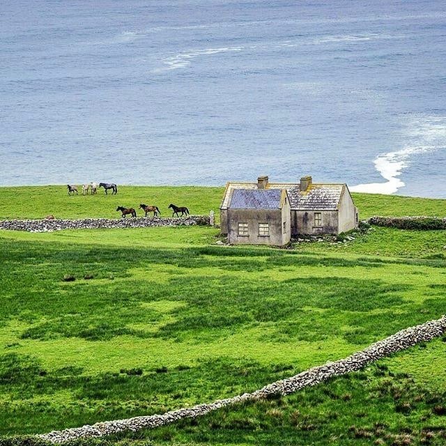 henbsu's tweet photo. For St Patrick's Day, photo of #Ireland #emeraldisle #eire #happystpatricksday https://t.co/AtL8XHgb26 https://t.co/435LLOMp0y