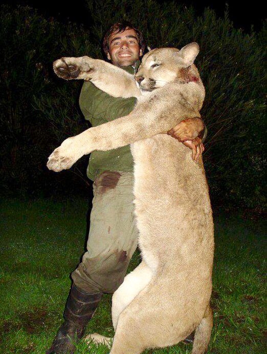 isaacBIOvega's tweet photo. NO quiero esto y LUCHO para EVITARLO 😿💔
I want a future in which humans live in harmony with nature
RT If YOU AGREE! https://t.co/shkMHtRXnF