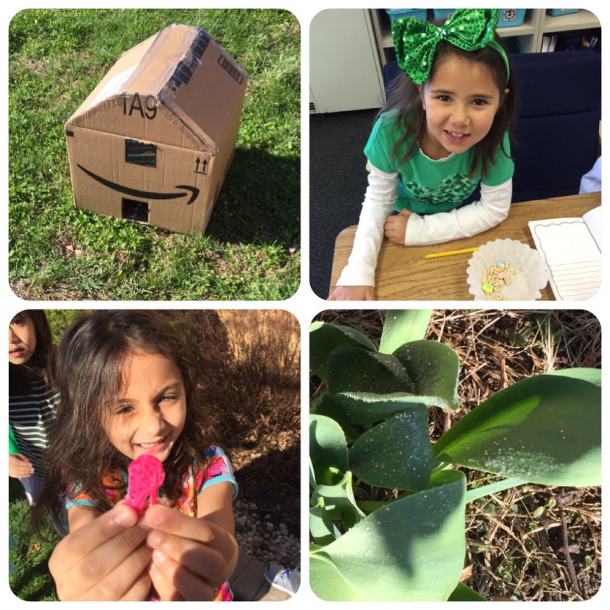 MrsDonavan7's tweet photo. Today we set traps, found fairy shoes, spotted fairy dust, and ate Lucky Charm cereal 😍☘ #dgsroyals https://t.co/G70D4ewIe7