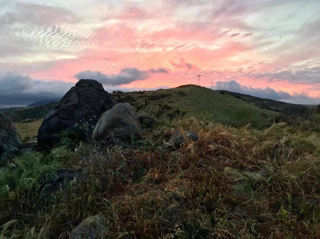 CaTurfPros's tweet image. Somewhere weakness is our strength.

#ig_masterpiece #bindebros #watchthisinstagood #california_igers #igerssandieg…