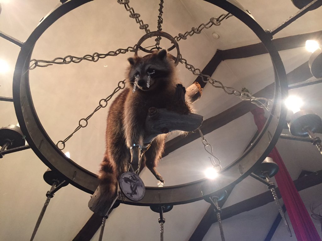 CynthVonBuhler's tweet photo. The taxidermy raccoon from The Illuminati Ball shows how she died. #tears #trappingisevil https://t.co/HjYh8FlXJm