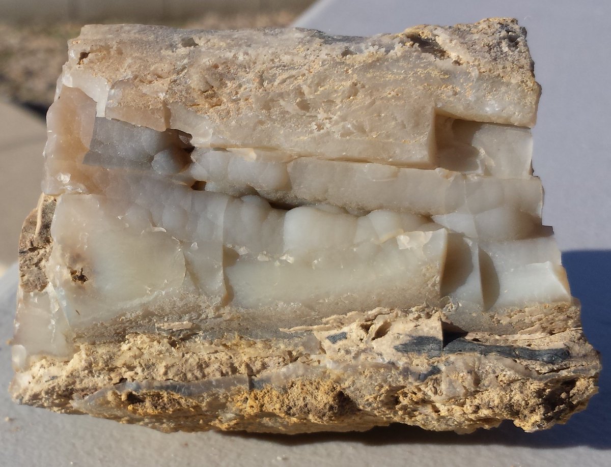 MyFavoriteRock2's tweet photo. Petrified Wood Blue Forrest WY $10.00 https://t.co/fdPMHZPokd
#petrifiedwood #blueforrest #wyoming #eBay #agate https://t.co/4gTPkPOWqJ