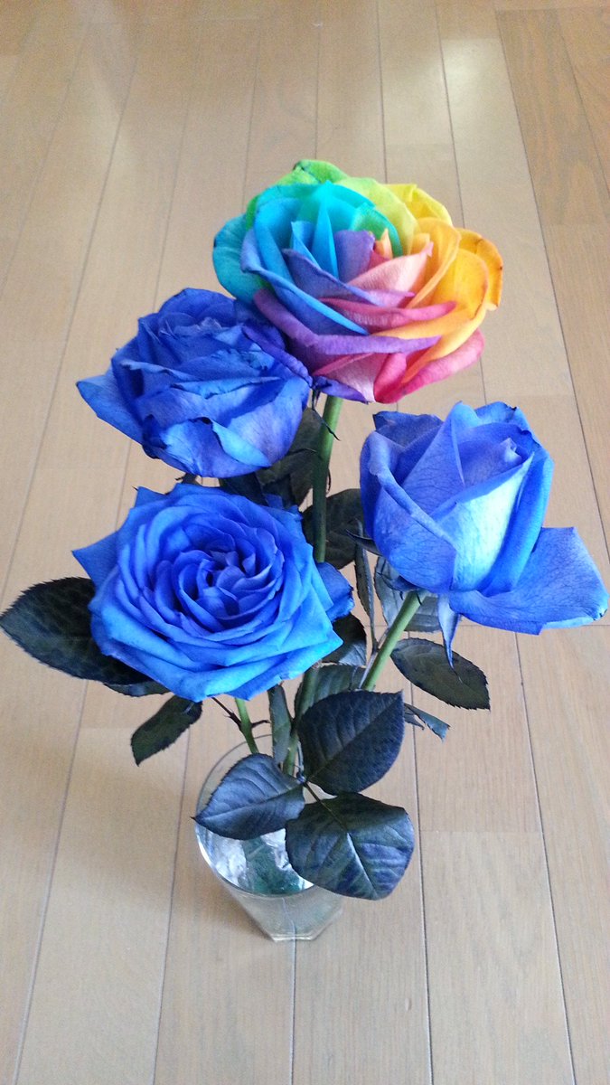 Sayoko Twitter પર プレゼントに珍しいバラ 綺麗 素敵 嬉しくて涙でちゃった プレゼント 青いバラ 虹色のバラ T Co Zdoib7q0le