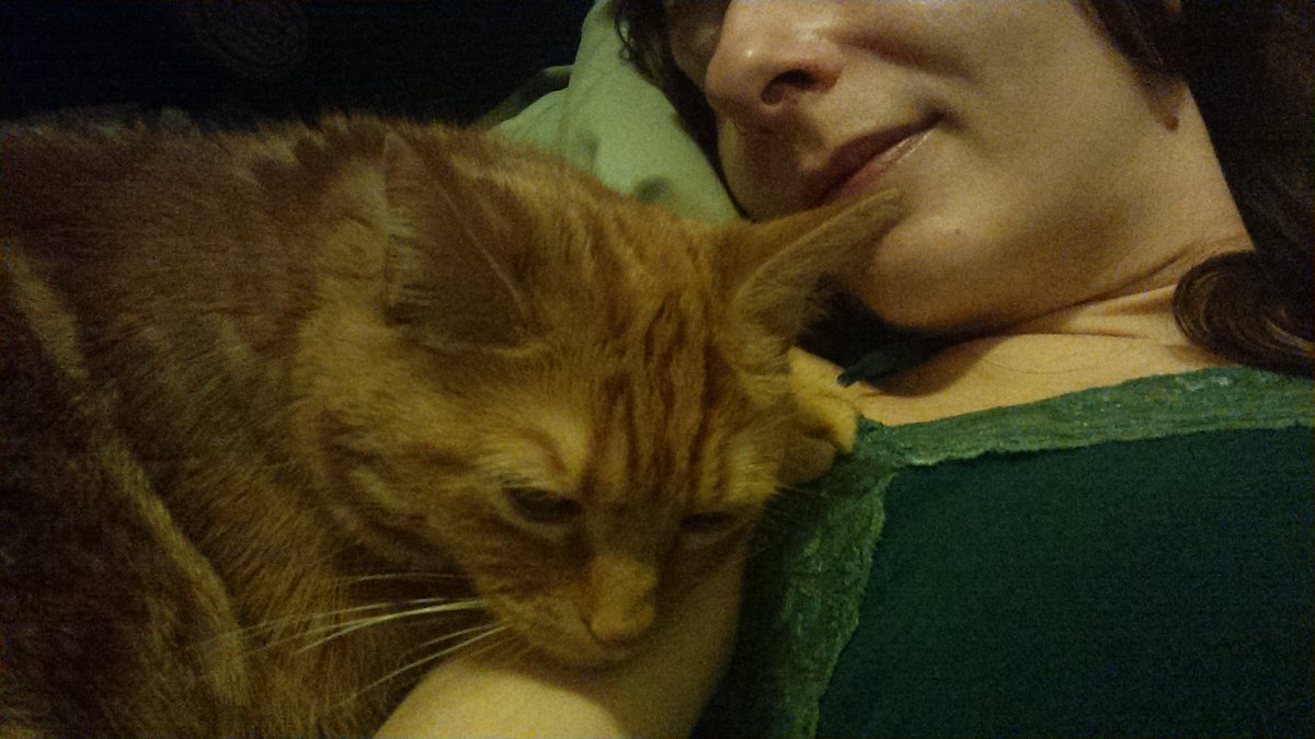 KattDiabolos's tweet photo. Love :) #kittyselfies #kitty #kittylove #catsoftwitter #Purrfect #purr #firesidegatherings #cats https://t.co/C2auzpPEBk