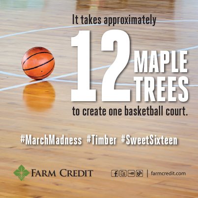 It's finally that time of year! #MarchMadness