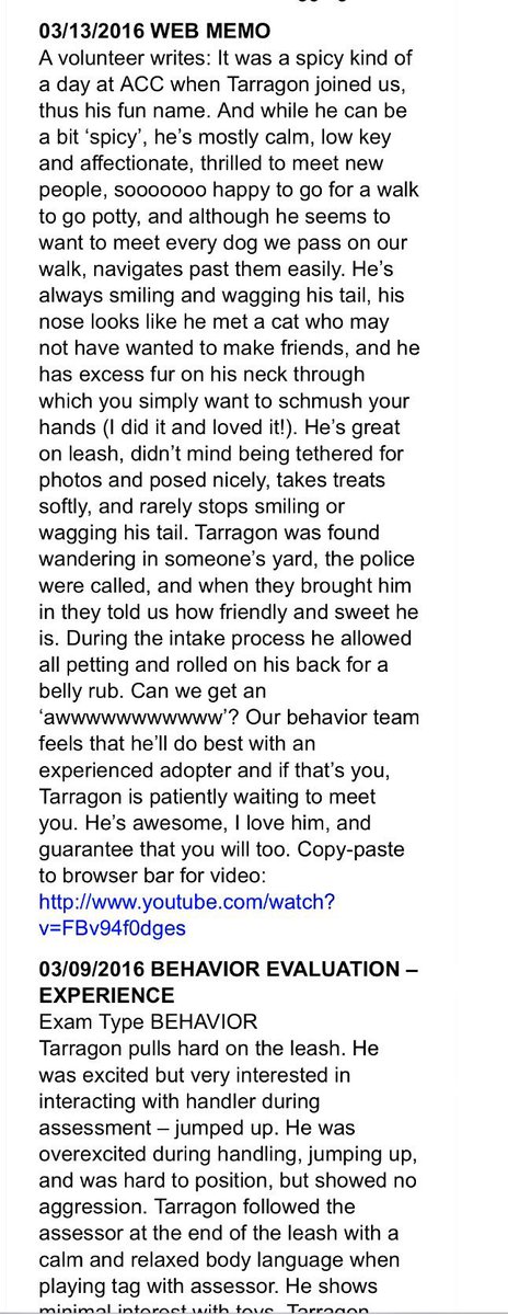 ruthmen's tweet image. PLS RT2BKILLED 3/18🆘 #NYC #DOGS 2B #ADOPT #FOSTER #RESCUE #PLEDGE nycdogs.urgentpodr.org/tarragon-a1066… @Canine_Rights @grm_chikn