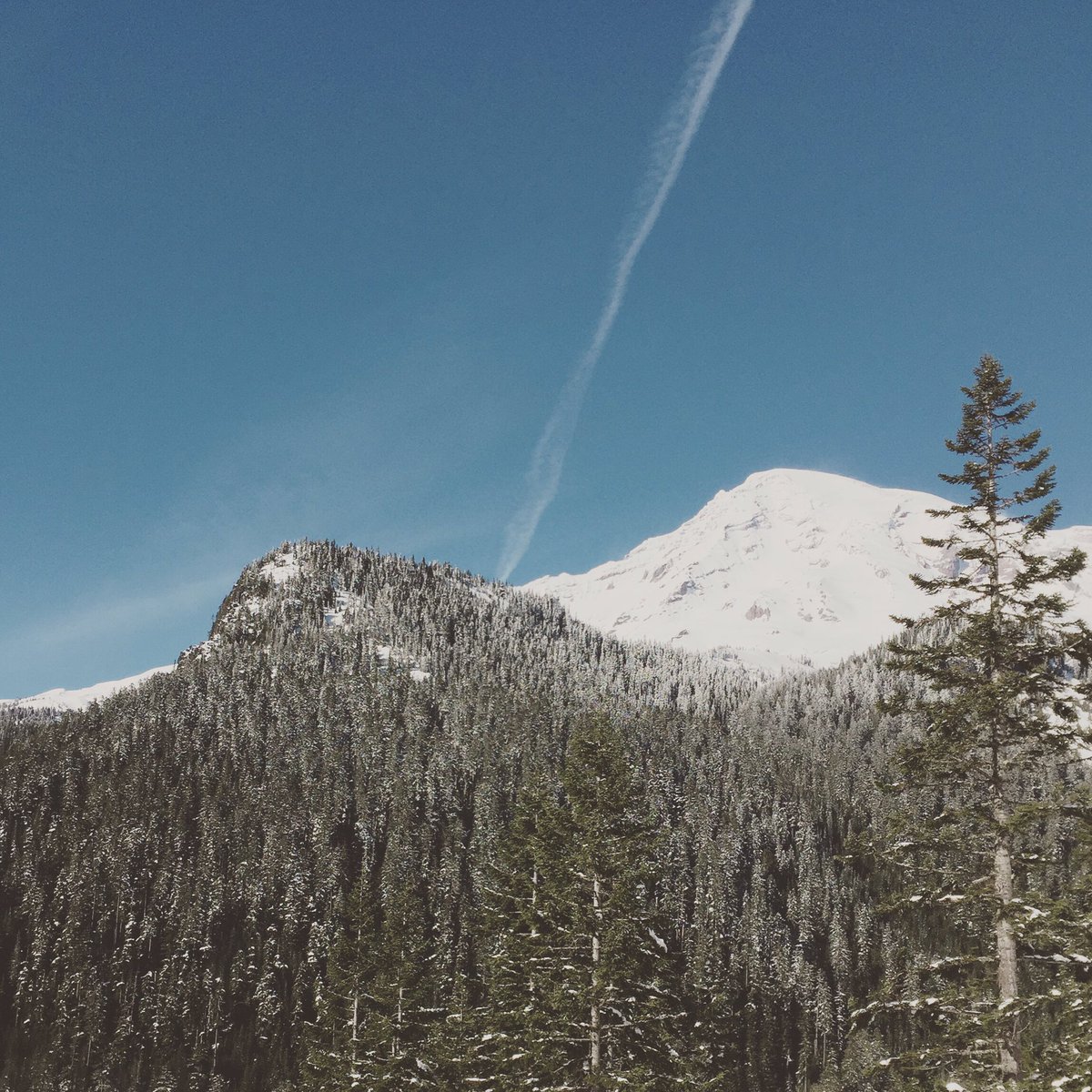 TheTrueAbstract's tweet photo. Took a day trip out to Mount Ranier https://t.co/mSjfMnwFLG