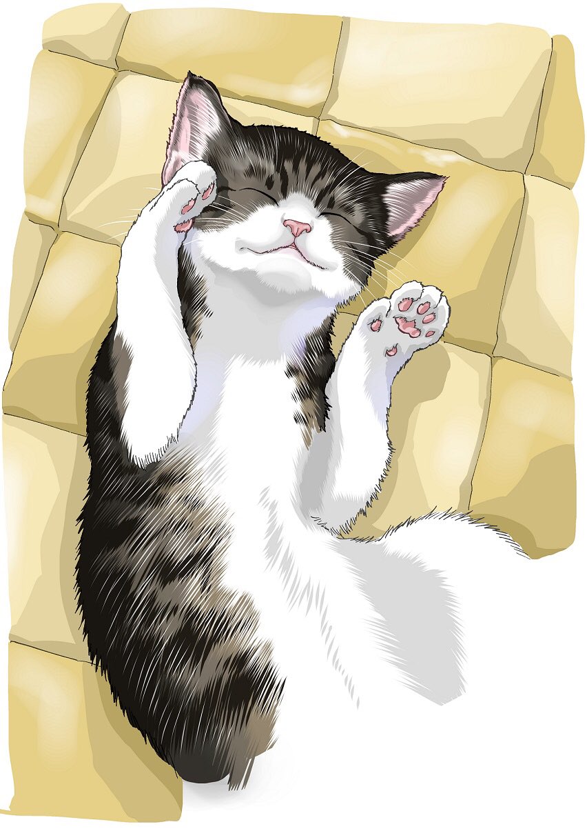 灘谷航 猫暮らしのゲーマーさん 1 6巻発売中 Ar Twitter ねこったけ 一巻が発売しました オマケ漫画もあります 寝ているニャンコのカバーが目印です よろしくお願いします T Co Iv8b9pzntp 灘谷航 猫暮らしのゲーマーさん 1 6巻発売中 Ar Twitter ねこったけ 一巻が発売しました オマケ漫画もあります 寝ているニャンコのカバーが目印です よろしくお願いします T Co Iv8b9pzntp